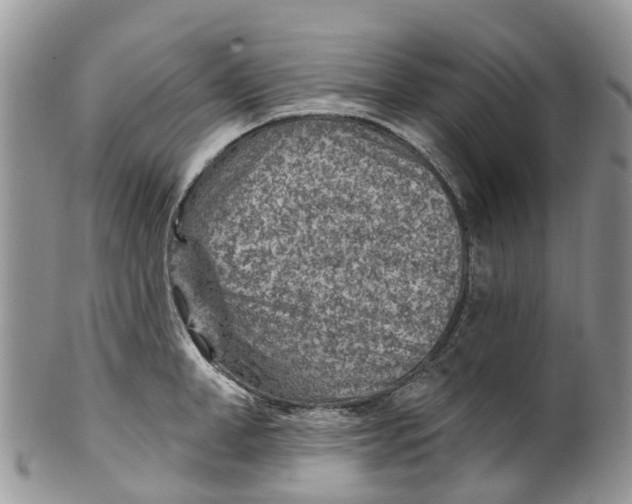 X0000099970998200806131528