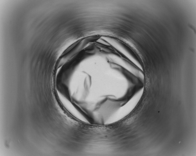 X0000099970999200806131528