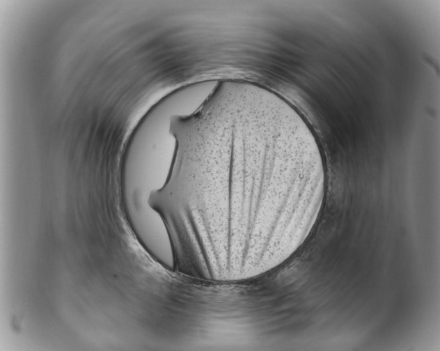 X0000099971000200806131528