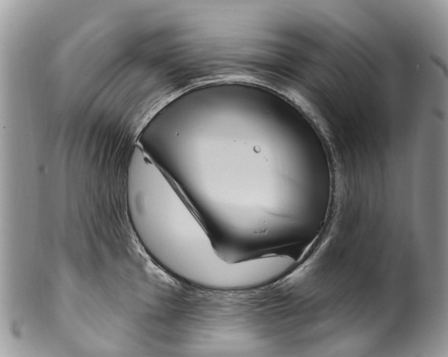 X0000099971001200806131528