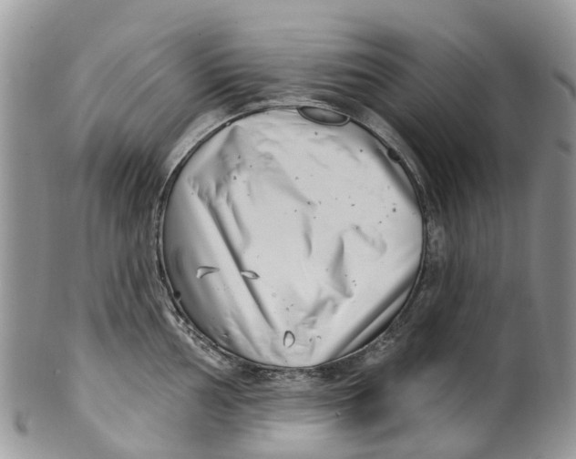 X0000099971002200806131528