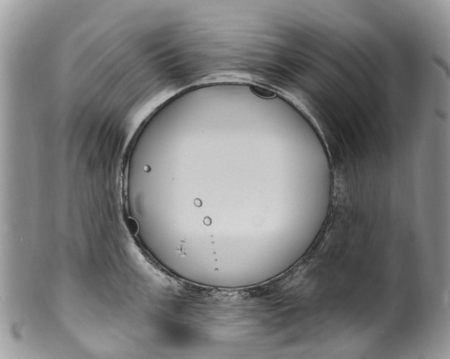 X0000099971003200806131528