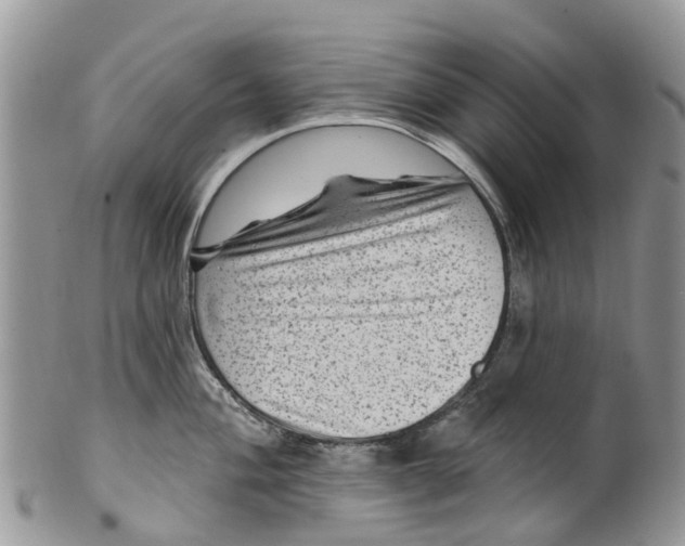 X0000099971004200806131528