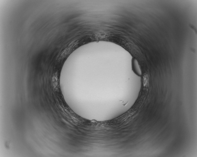 X0000099971011200806131527