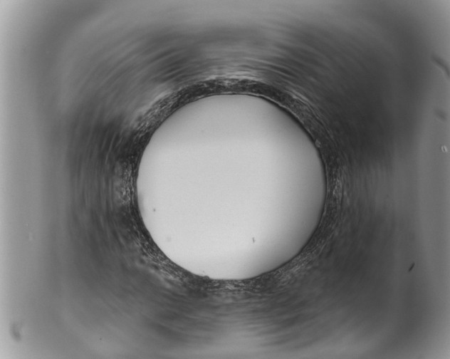 X0000099971014200806131527