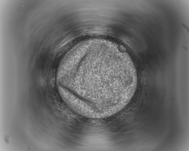 X0000099971015200806131527