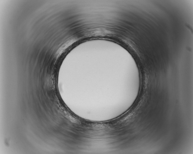 X0000099971018200806131527