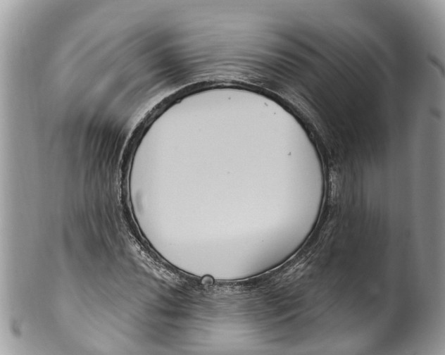 X0000099971020200806131527