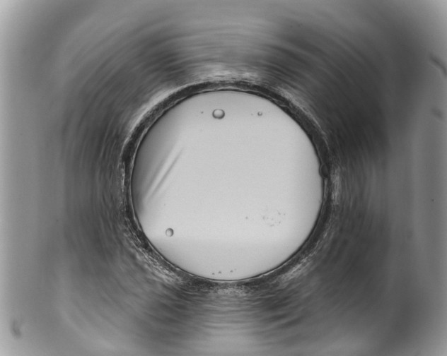 X0000099971021200806131527