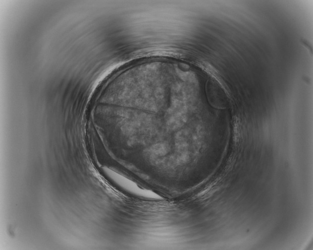 X0000099971024200806131527