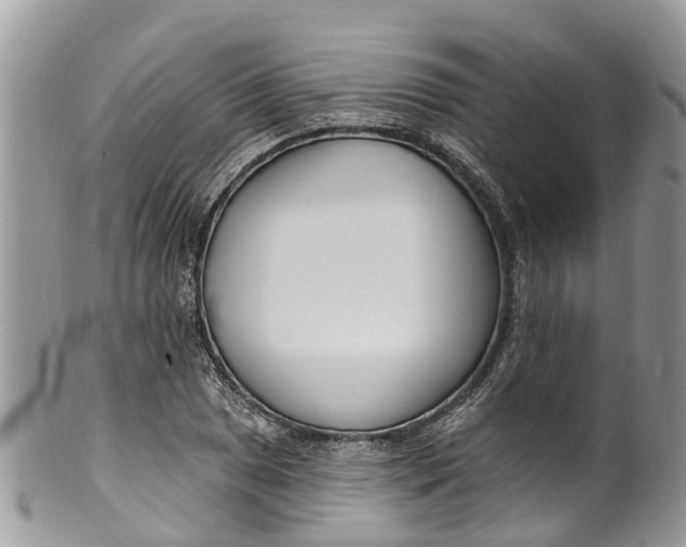 X0000099971025200806131527