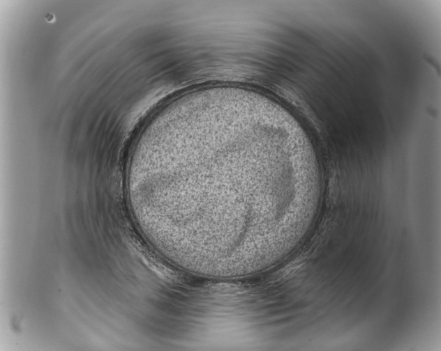 X0000099971027200806131527