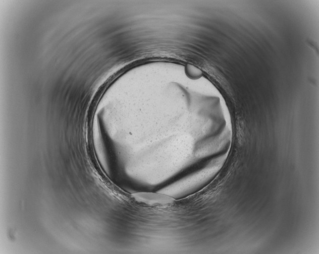 X0000099971028200806131527