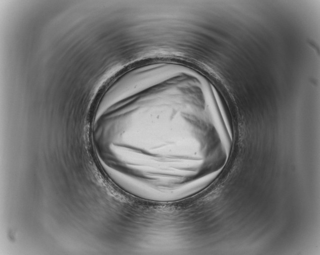 X0000099971029200806131527