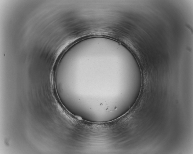 X0000099971032200806131527