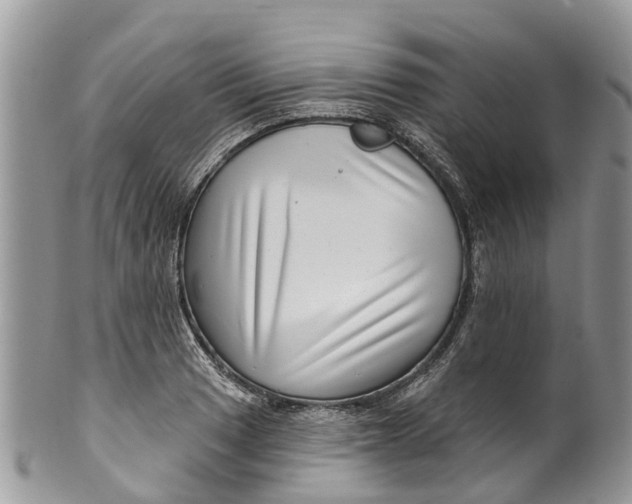 X0000099971033200806131527