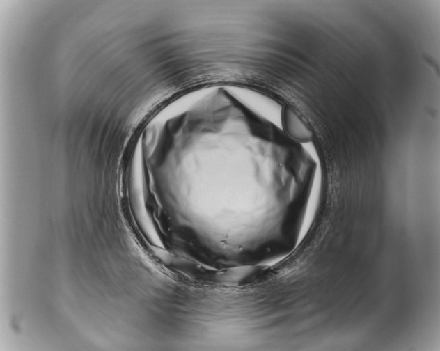 X0000099971034200806131527