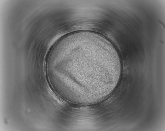 X0000099971035200806131527