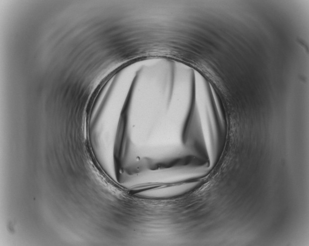 X0000099971036200806131527