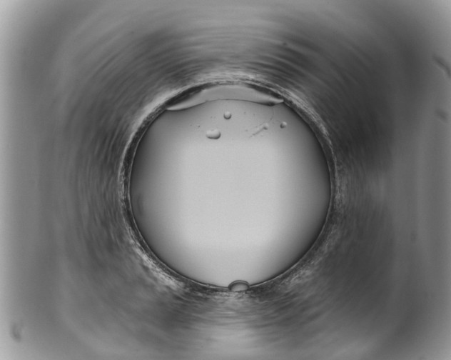 X0000099971037200806131527