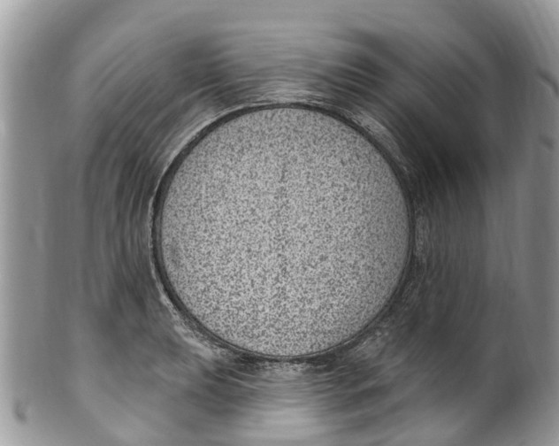 X0000099971039200806131527