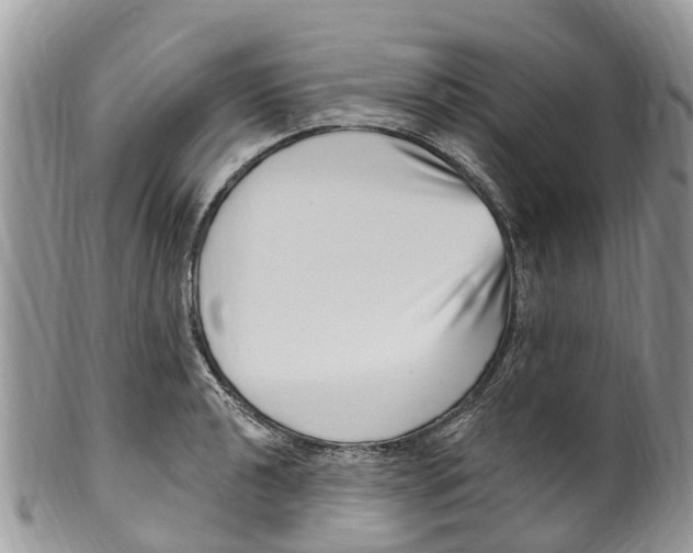 X0000099971040200806131527