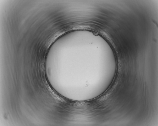 X0000099971041200806131527