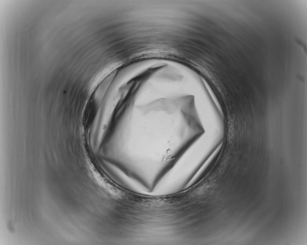 X0000099971042200806131527