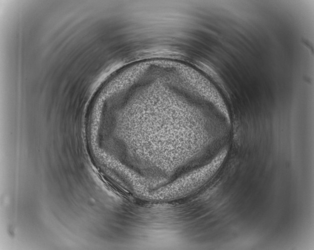 X0000099971043200806131527