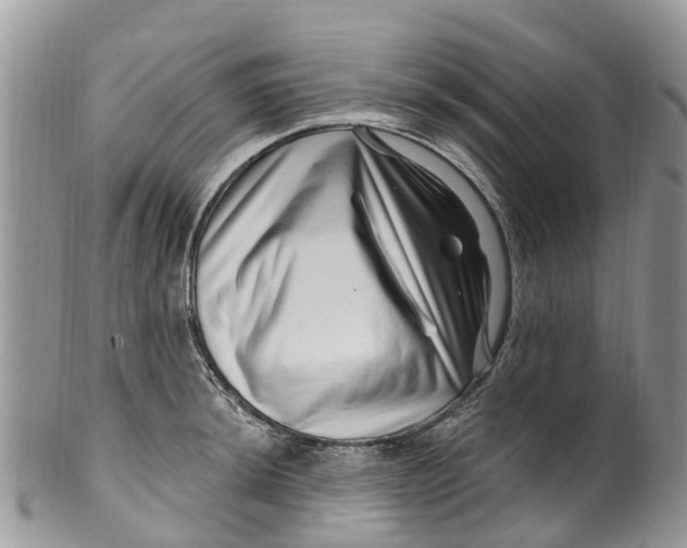 X0000099971044200806131528