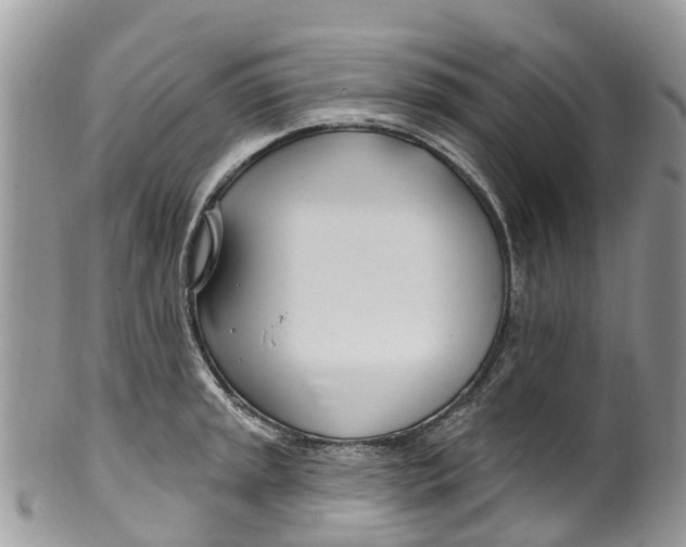 X0000099971045200806131528