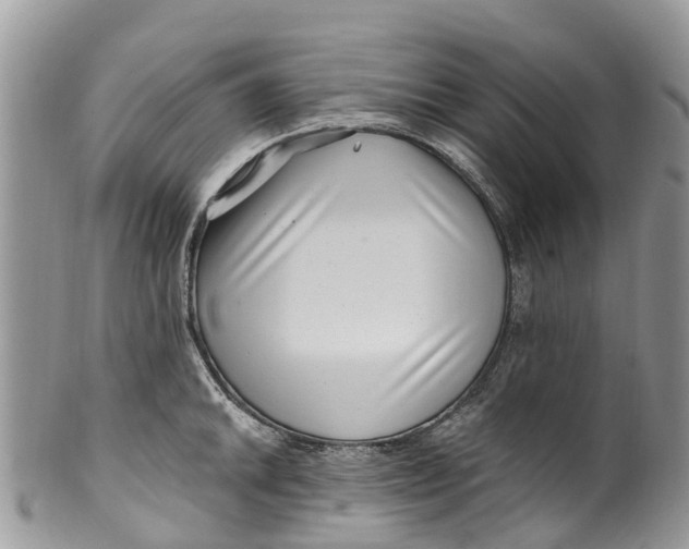 X0000099971046200806131528