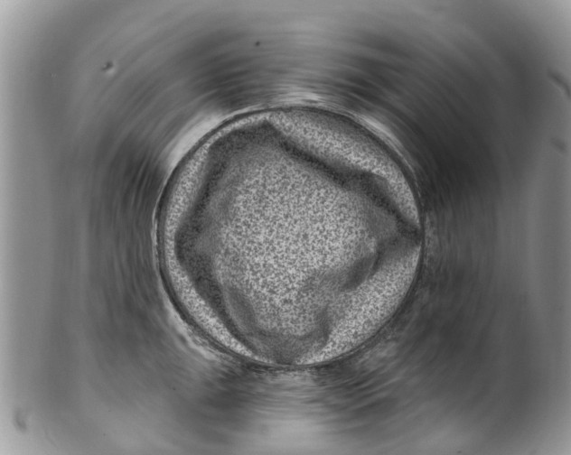 X0000099971047200806131528