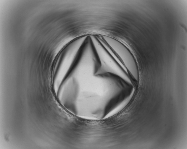 X0000099971048200806131528