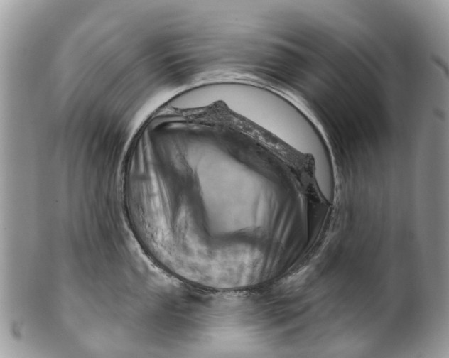 X0000099971053200806131528