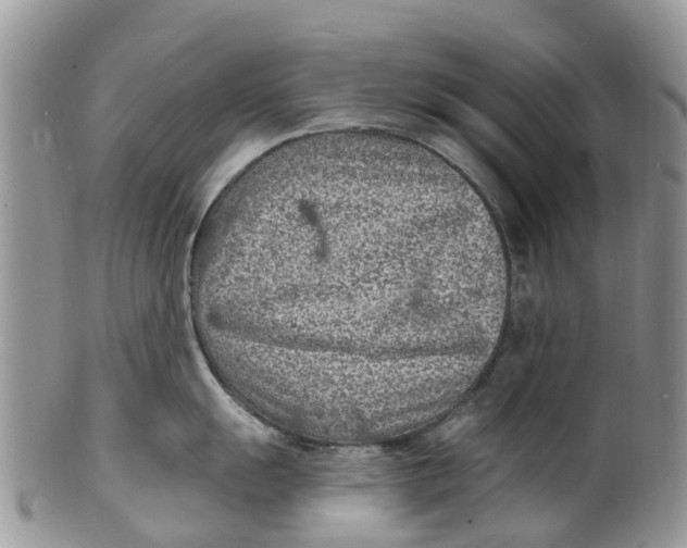 X0000099971055200806131528