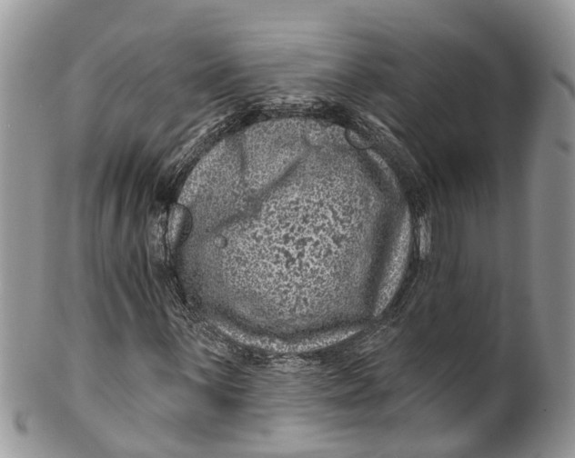 X0000099971059200806131527