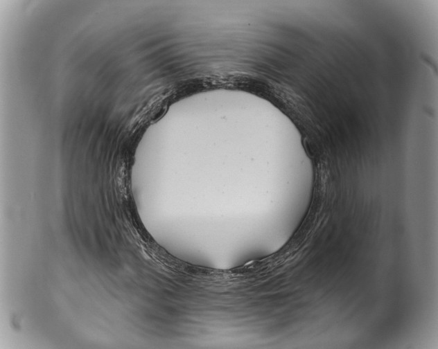 X0000099971060200806131527