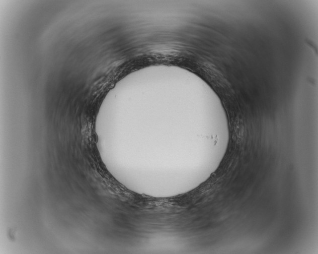 X0000099971061200806131527