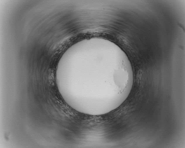 X0000099971062200806131527