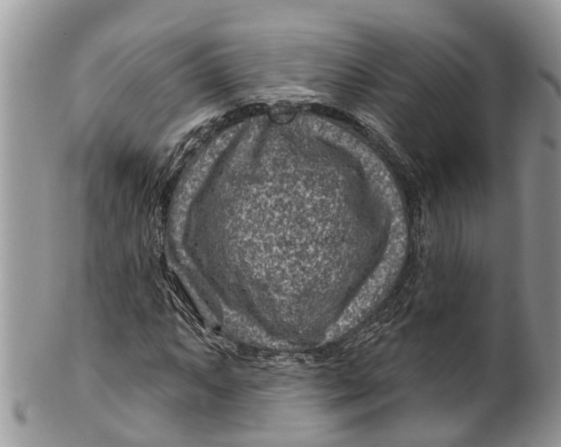 X0000099971063200806131527