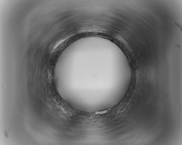 X0000099971064200806131527