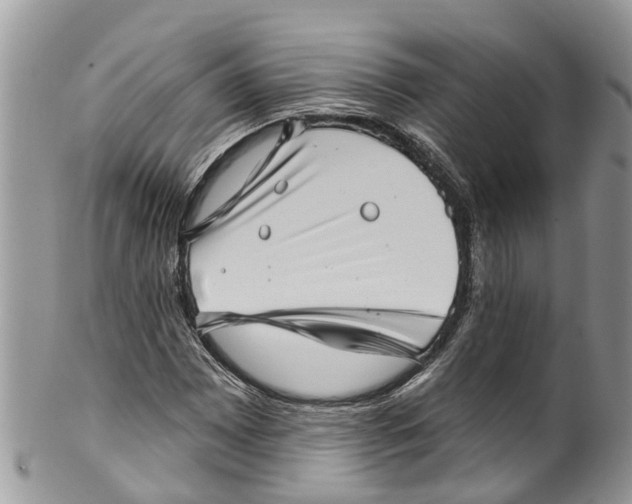 X0000099971065200806131527