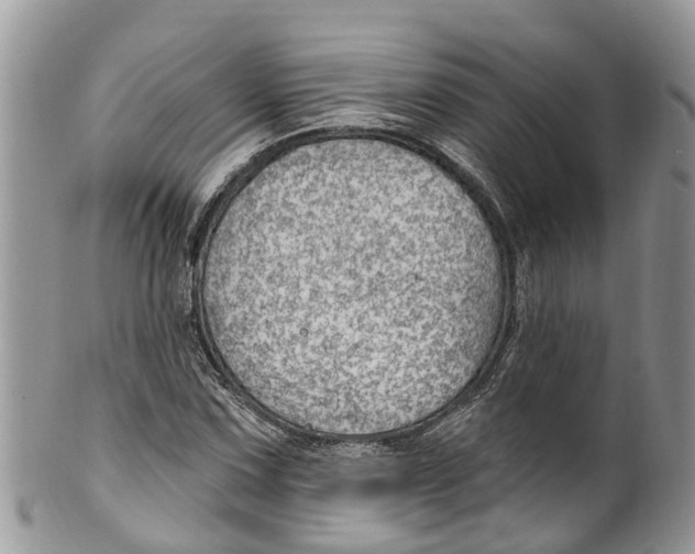 X0000099971067200806131527