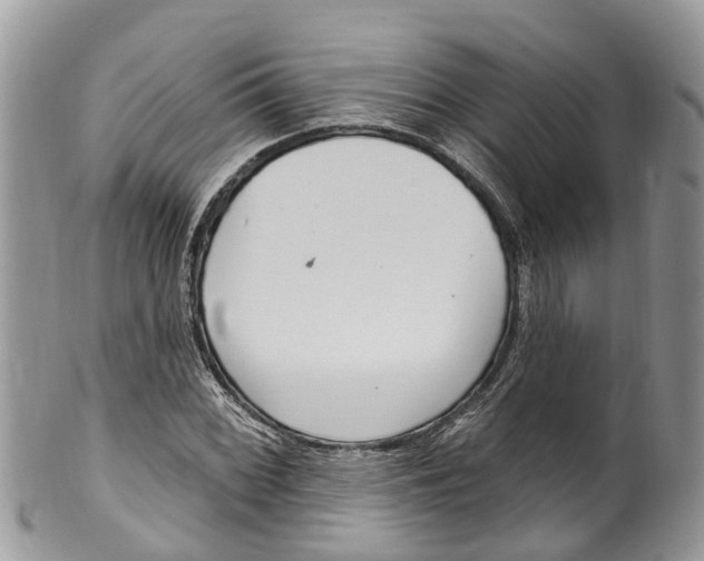 X0000099971068200806131527