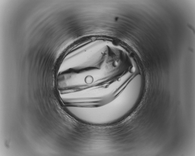 X0000099971069200806131527