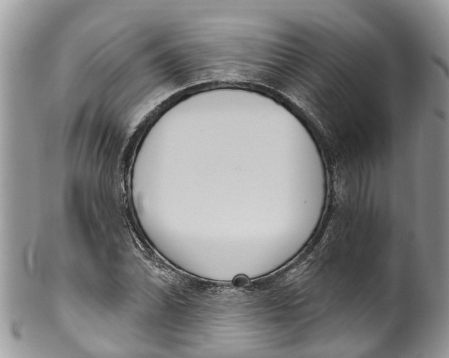 X0000099971070200806131527