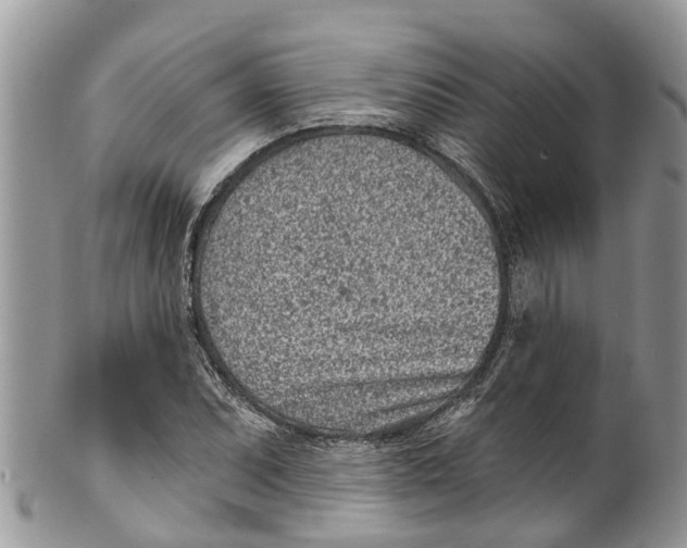 X0000099971071200806131527