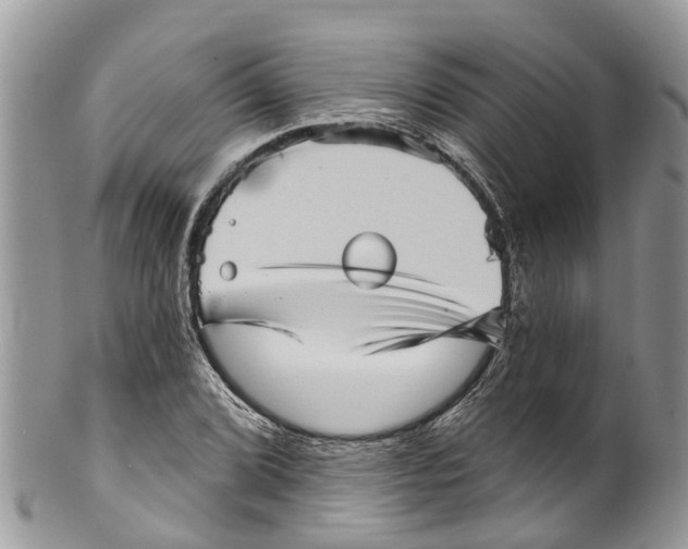 X0000099971072200806131527