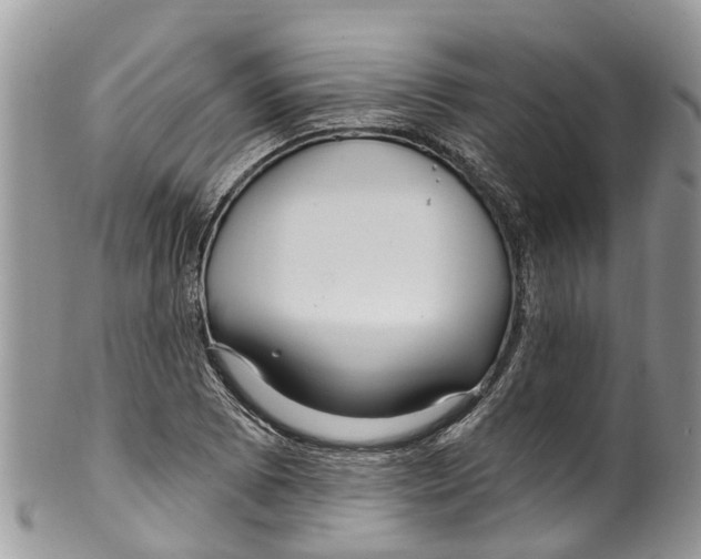 X0000099971073200806131527